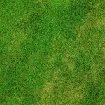 Cosa sapere sulle pompe irroratrici: cosa sono e come funzionano