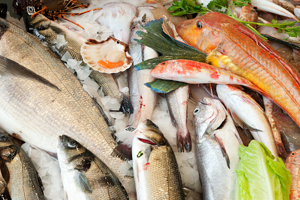 Il viaggio del pesce dal mare alla tavola