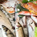 Il viaggio del pesce dal mare alla tavola
